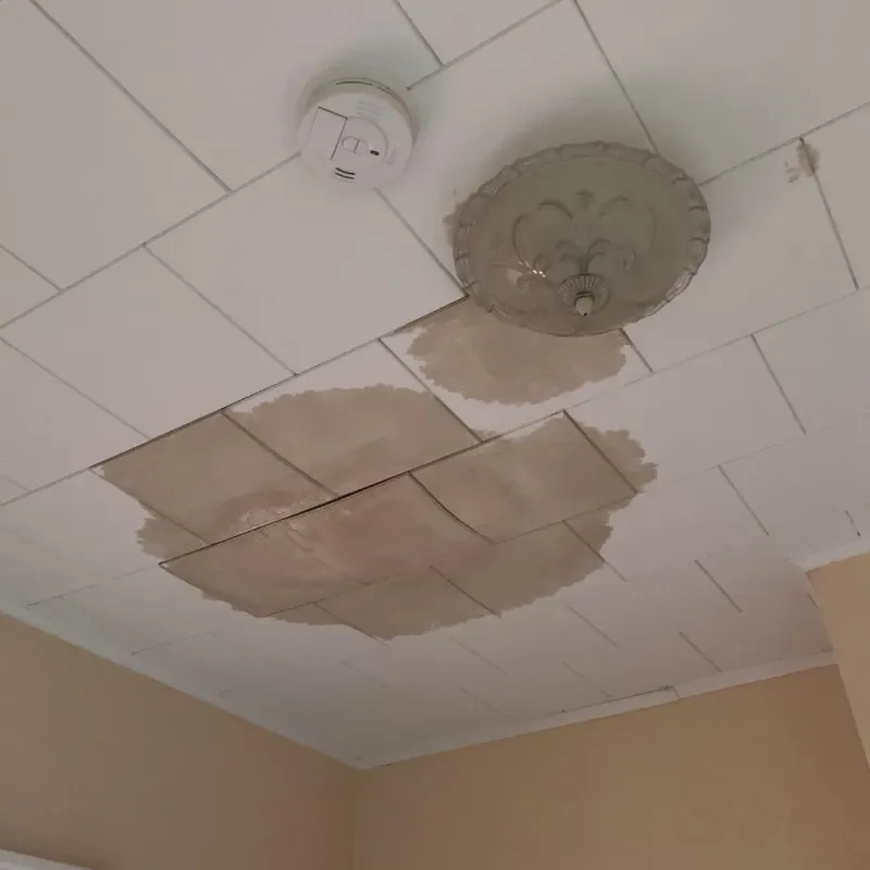Ceiling Water Damage Repair in Hunt County, TX