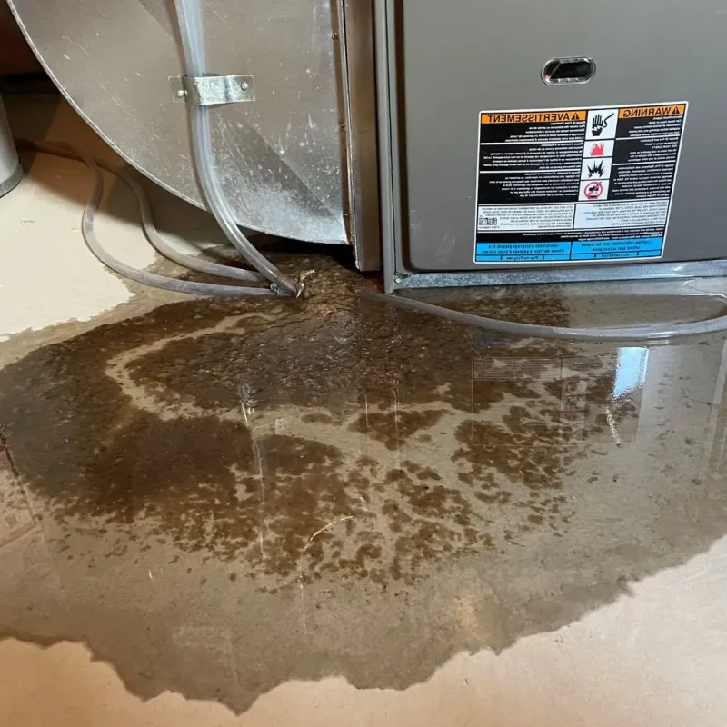 Pipe Burst and Leak Restoration in Hunt County, TX